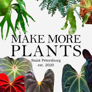 Make More Plants | Санкт-Петербург channel avatar