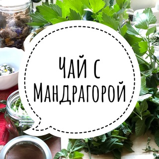 «Чай с мандрагорой» с Анной Павлюк channel avatar