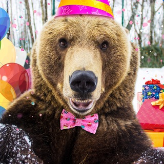 Аватар канала mansurbear