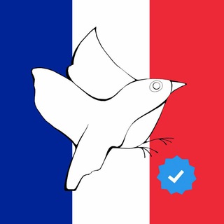 А как там в Париже?🇫🇷 channel avatar