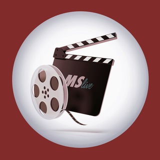 martinsellnervideos channel avatar