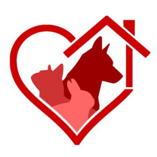 Аватар канала Mascotas Adopción