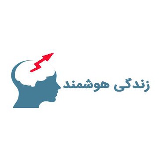 معصومه تيموري(زندگي هوشمند) channel avatar