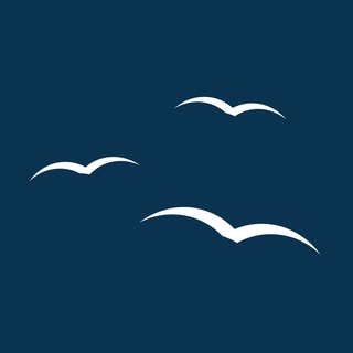 Медиапалуба channel avatar