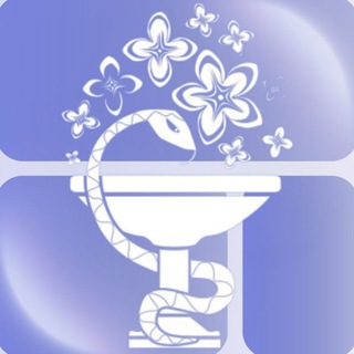 МЕДИЦИНСКАЯ ВЕСНА 2026 channel avatar
