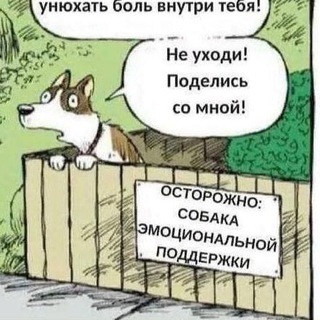 Аватар канала Мем-терапевт.