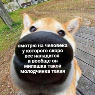 МемыСкрепы 2 channel avatar