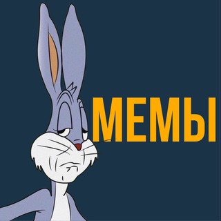 МЕМЫ РИЛС | REELS MEMES | ШАБЛОНЫ CAPCUT channel avatar