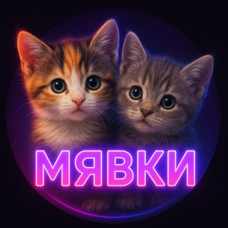 Аватар канала Мявки | котики | котята