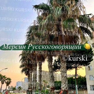 Мерсин Русскоговорящий 🍋 | Mersin chatik channel avatar