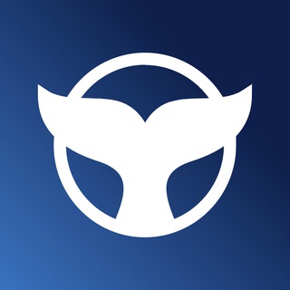 Meta Whale channel avatar