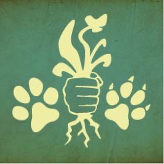 Mission: Gesundheit - Hund & Katz channel avatar