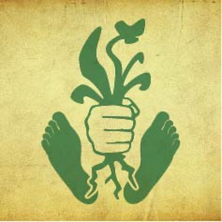 Mission: Gesundheit - Mensch channel avatar