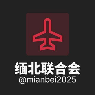 缅北联合会 免费代理 TG代理 channel avatar