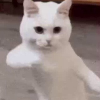 milvideos channel avatar