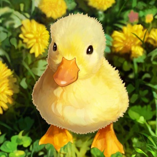 утки channel avatar