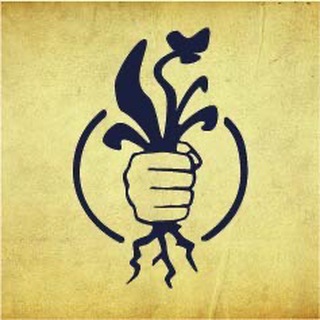 Mission: Gesundheit channel avatar