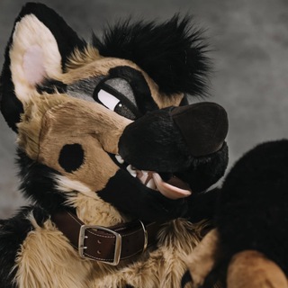 MixedCandy Fursuit Updates channel avatar