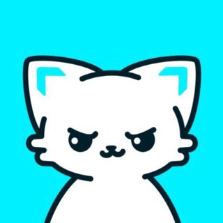 MOEW COMMUNITY 🐱🩵 channel avatar