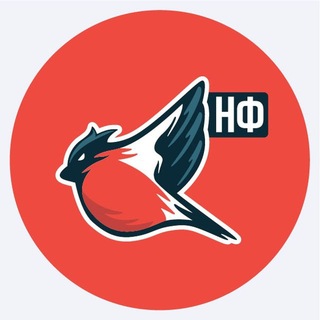 Молодёжка Народного Фронта channel avatar