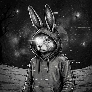 Money Bunny channel avatar