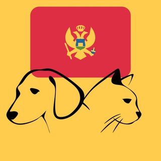 Черногория с питомцем (собака, кошка и проч) channel avatar