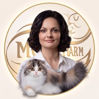 Питомник Шотландских кошек | Mos Charm channel avatar
