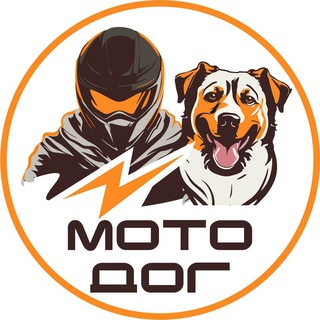 Аватар канала МотоДог