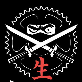 Ninja CLAN channel avatar