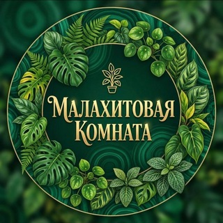 Малахитовая комната /Растения и цветы channel avatar
