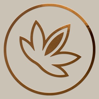 Курорт МРИЯ channel avatar
