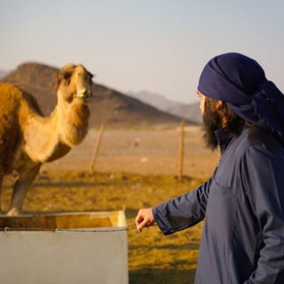 Muvakhid channel avatar
