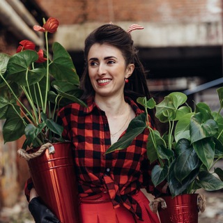 Аватар канала MyGreenDecor| Комнатные Растения