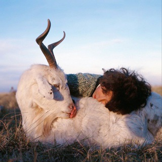 мои любимые картинки channel avatar