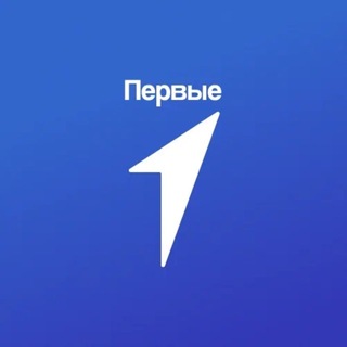 Движение Первых | ДНР channel avatar