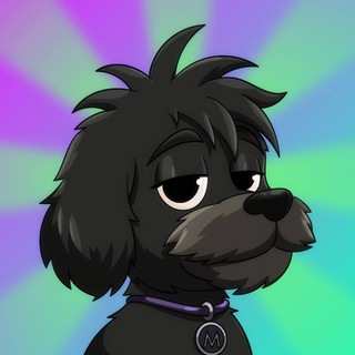 Аватар канала $MYRO | The Solana Founders Dog