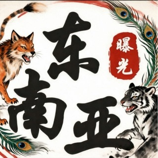 东南亚吃瓜曝光大事件 channel avatar