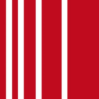 NachDenkSeiten – Die kritische Website channel avatar