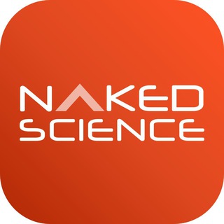 Naked Science – все новости channel avatar