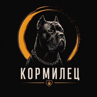 Наши channel avatar