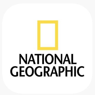 Аватар канала National Geographic