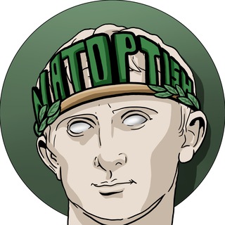 НАТОптыш channel avatar