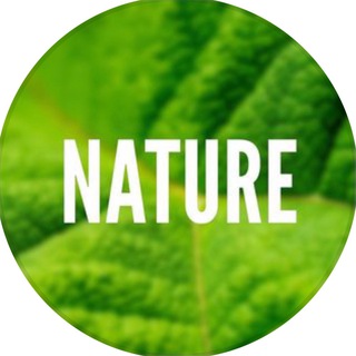 Nature channel avatar