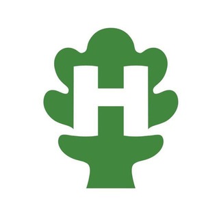 НАТУРОПАТИКА channel avatar