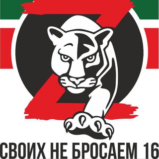 Благотворительный фонд СВОИХ НЕ БРОСАЕМ 16🇷🇺 channel avatar