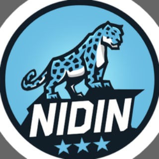 Аватар канала __NIDIN__