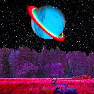 Night Company channel avatar