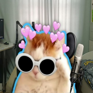 Nikkat и точка channel avatar