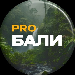 Аватар канала pro.Бали