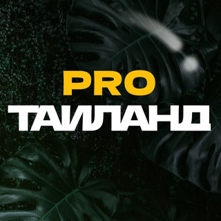 Аватар канала pro.Таиланд